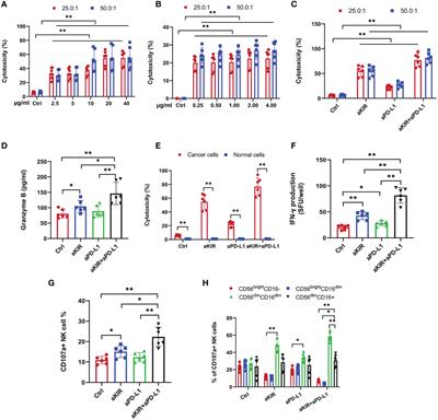 Lirilumab and Avelumab Enhance Anti-HPV+ Cervical Cancer Activity of Natural Killer Cells via Vav1-Dependent NF-κB Disinhibition